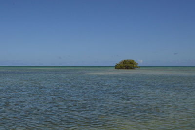 Scenic view of sea against clear blue sky