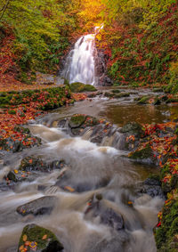 View of waterfall in forest