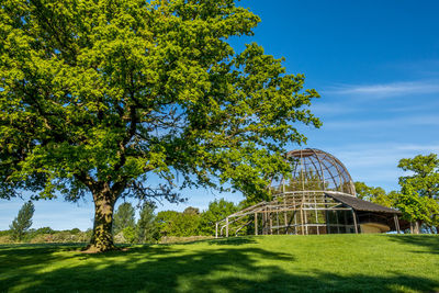 Trees on field against sky