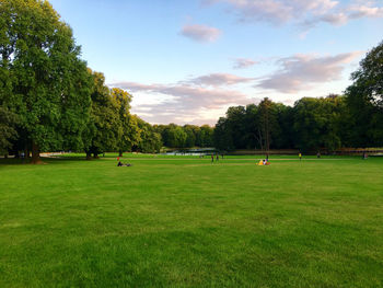 Group of people playing soccer on field against sky