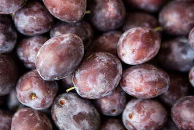 Full frame shot of blueberries