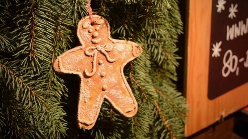 Close-up of christmas decoration hanging on tree