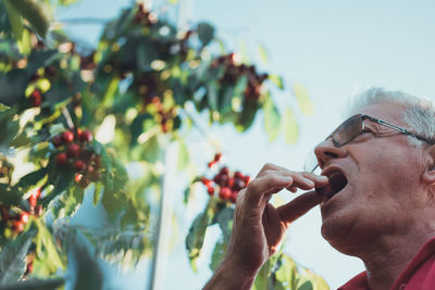 Low angle view of man eating cherry by trees