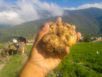 Close-up of hand holding food against sky