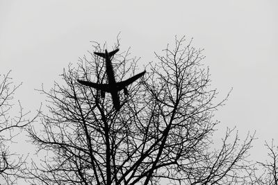 Low angle view of silhouette bare tree against clear sky