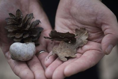 Person holding pine cone, snail shell and leaves from forest soil in the hands