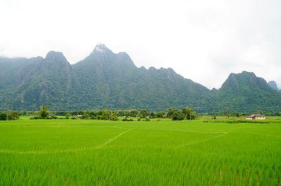 Scenic view of field and mountains against sky