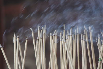 The incense burned to worship the buddha and the sacred.