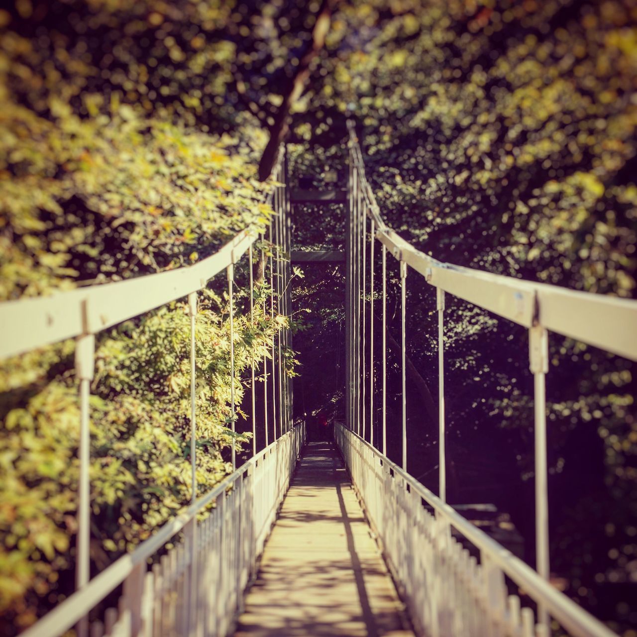 railing, the way forward, footbridge, connection, diminishing perspective, bridge - man made structure, tree, built structure, metal, architecture, vanishing point, bridge, fence, day, outdoors, nature, no people, long, wood - material, sky