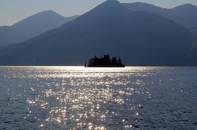 Lagodiiseo