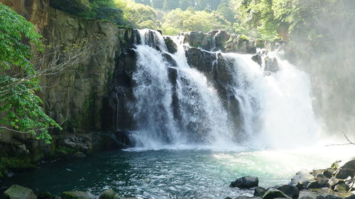 Scenic view of waterfall in forest