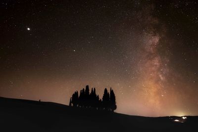 Low angle view of silhouette trees against sky at night