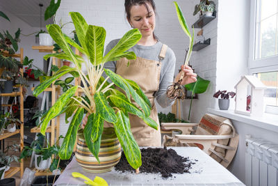 Midsection of woman holding potted plant