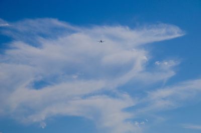 Low angle view of airplane flying in sky