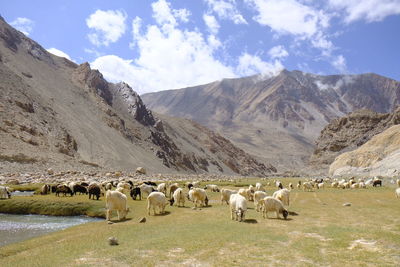 Scenic view of rural landscape against sky