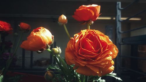 Close-up of rose bouquet