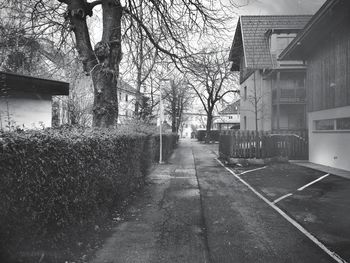 Road leading towards bare trees