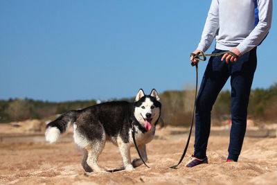 Low section of person with dog standing on street