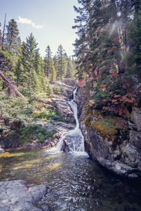 Scenic view of waterfall in forest