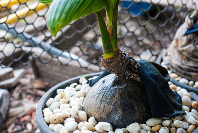 Close-up of pebbles