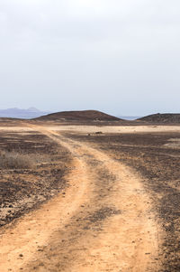 Dirt road passing through a desert