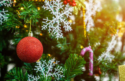 Close-up of christmas tree