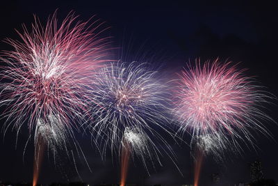 Low angle view of firework display at night