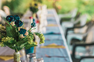 Close-up of potted plant on table