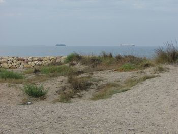 Scenic view of beach against sky
