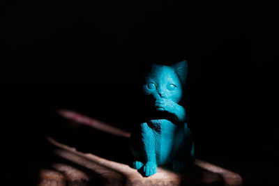 Close-up of a cat against blue background