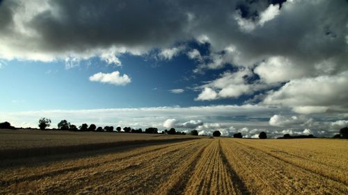 Scenic view of agricultural field against cloudy sky