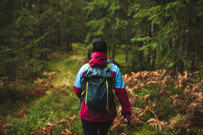 Rear view of man walking in forest