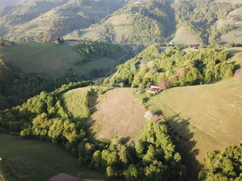 High angle view of trees on landscape