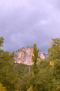 Rock formation amidst trees against sky