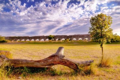 Scenic view of field against cloudy sky