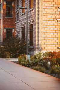 Footpath by building in city