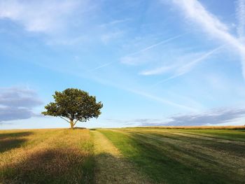 Scenic view of grassy field against cloudy sky