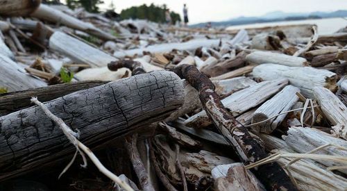 Close-up of wooden logs