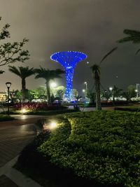 Illuminated fountain in park at night