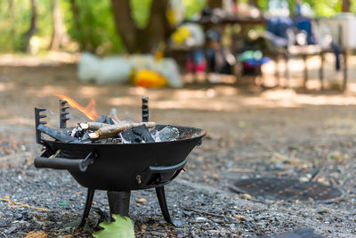 Close-up of crab on barbecue grill