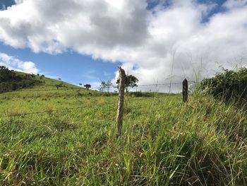 Scenic view of field against sky