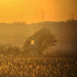 Scenic view of field against sky during sunset