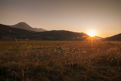 Idyllic shot of landscape against clear sky during sunset