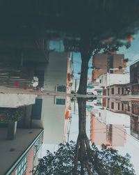 Buildings and trees in city during winter