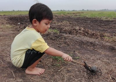 High angle view of boy feeding on field