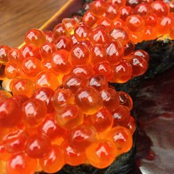Close-up of orange flowers
