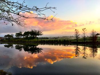 Reflection of trees in calm lake