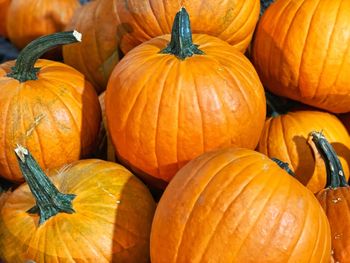 Full frame shot of pumpkins