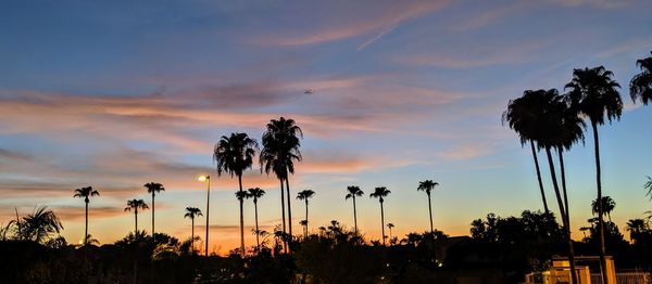 Silhouette palm trees against sky during sunset