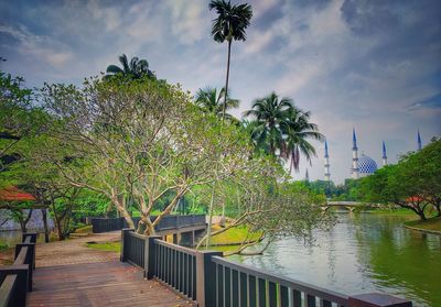 View of palm trees and plants against cloudy sky